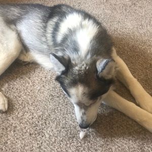 Meet your Posher, Lisamarie